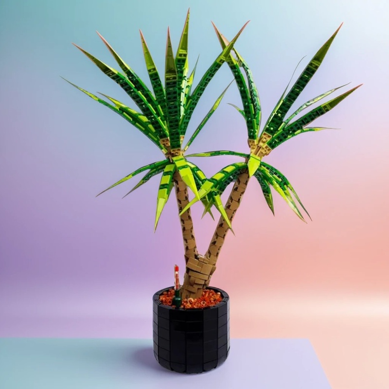 1961 ชิ้น MOC Dracaena Margina - Dracaena Marginata บทวิจารณ์และราคา
